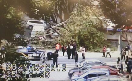 Reportan caída de árbol en la San Rafael; hay 6 heridos