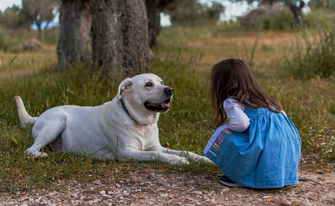 Niña y su perro. Foto: Pixabay