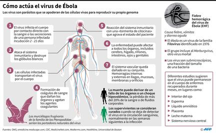 Retrato de un asesino, el virus del Ébola