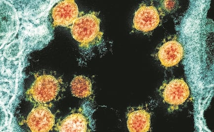 Nitazoxanida y favipiravir podrían disminuir los síntomas por el Covid-19