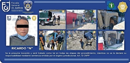 Dan 4.3 años de cárcel a asesino de cachorros