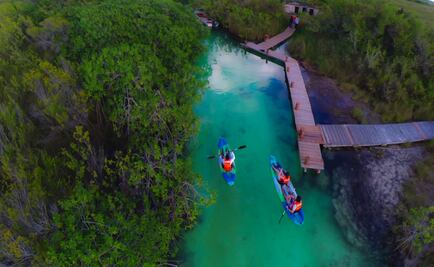 Manglares: paraísos supervivientes