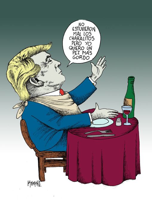 Cartón de KEMCHS