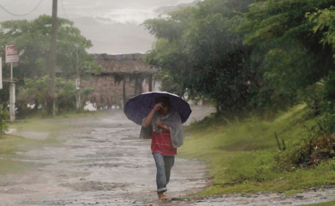 Foto: Archivo/ EL UNIVERSAL            