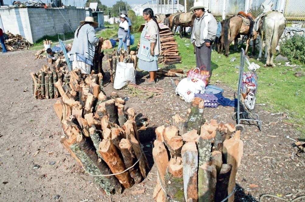 The Hunger Project Mexico señaló que en localidades de Chiapas, Oaxaca y San Luis Potosí las personas no cuentan con sanitarios. Foto: ARCHIVO EL UNIVERSAL