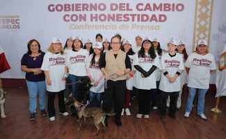 Ecatepec realiza jornada de esterilización de perros y gatos; se estima que un millón viven en situación de calle