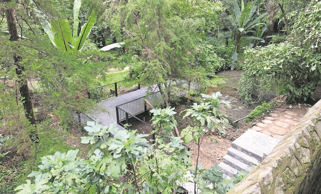 Al intervenir el manantial de Santa Fe no se utilizaron tornillos para no hacer excavaciones ni concreto para evitar contaminar, dijeron autoridades. Foto: Especial