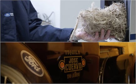 Buscan crear autopartes a base de agave