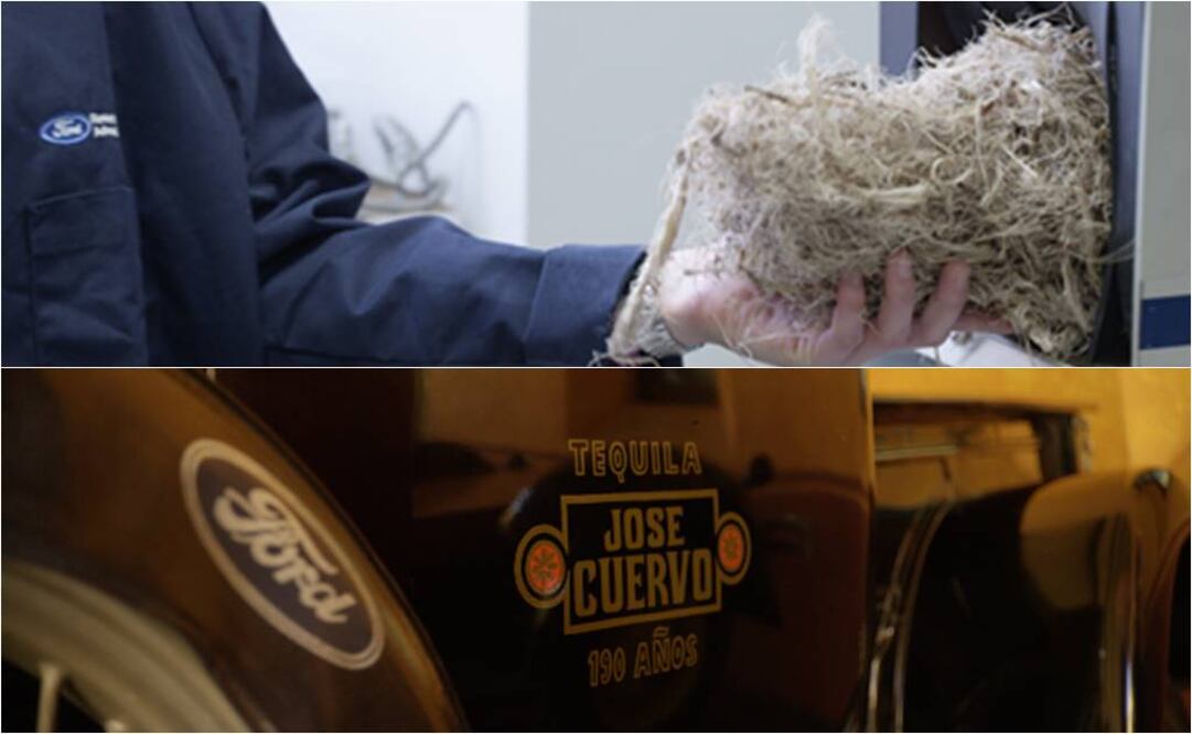 Fotografía Especial