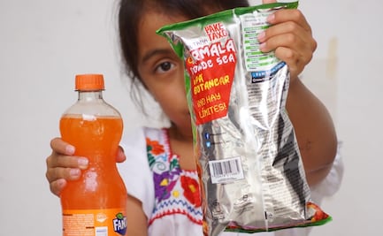 Proponen llevar a todo el país la ley que prohíbe vender “chatarra” a niños