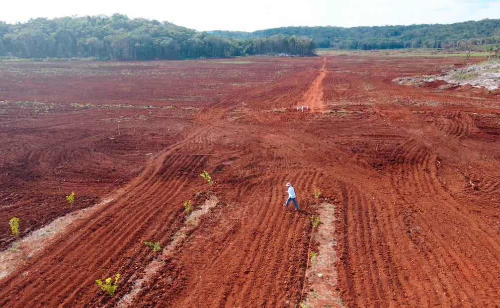 Foto: Cortesía Citrus Patrimonial