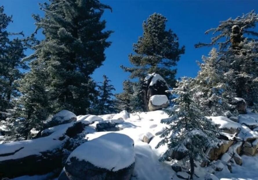 San Pedro Mártir, el mejor lugar en México para ver las estrellas