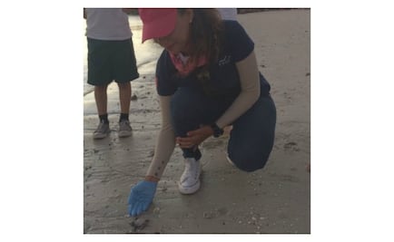 Liberan 83 crías de tortuga en Baja California Sur