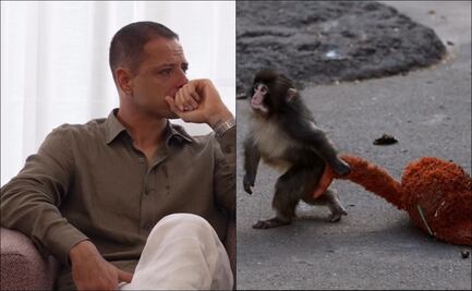 Chicharito rompe en llanto por el famoso mono viral 'Punch': "Es fuerte y es real" 