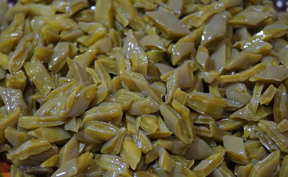 Foto: UlisesEkzMoreno / Pixabay