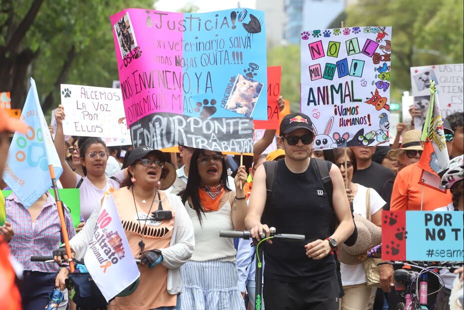 FOTO: Berenice Fregoso/ EL UNIVERSAL/