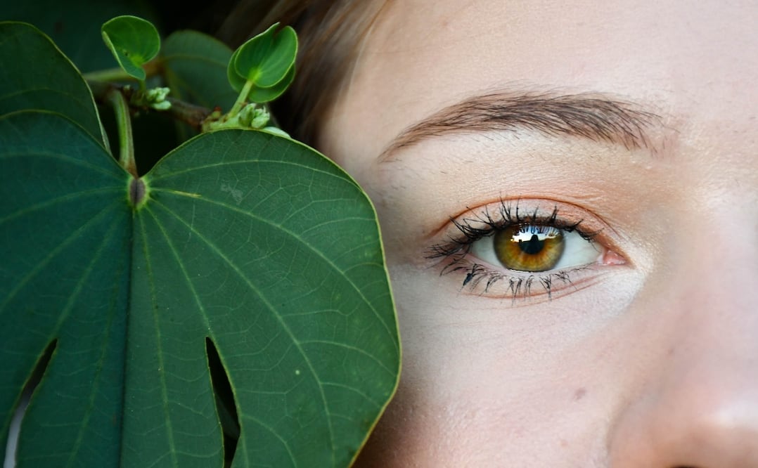 revitaliza tu mirada con el poder de la manzanilla Foto: Unsplash