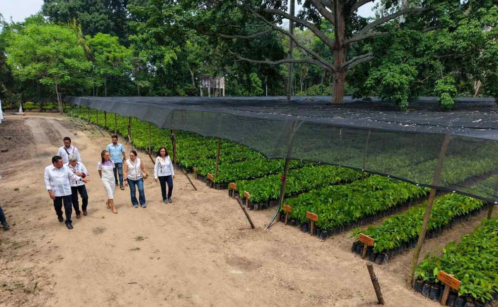 La presidenta de México, Claudia Sheinbaum, en Tabasco. Foto: Presidencia de México