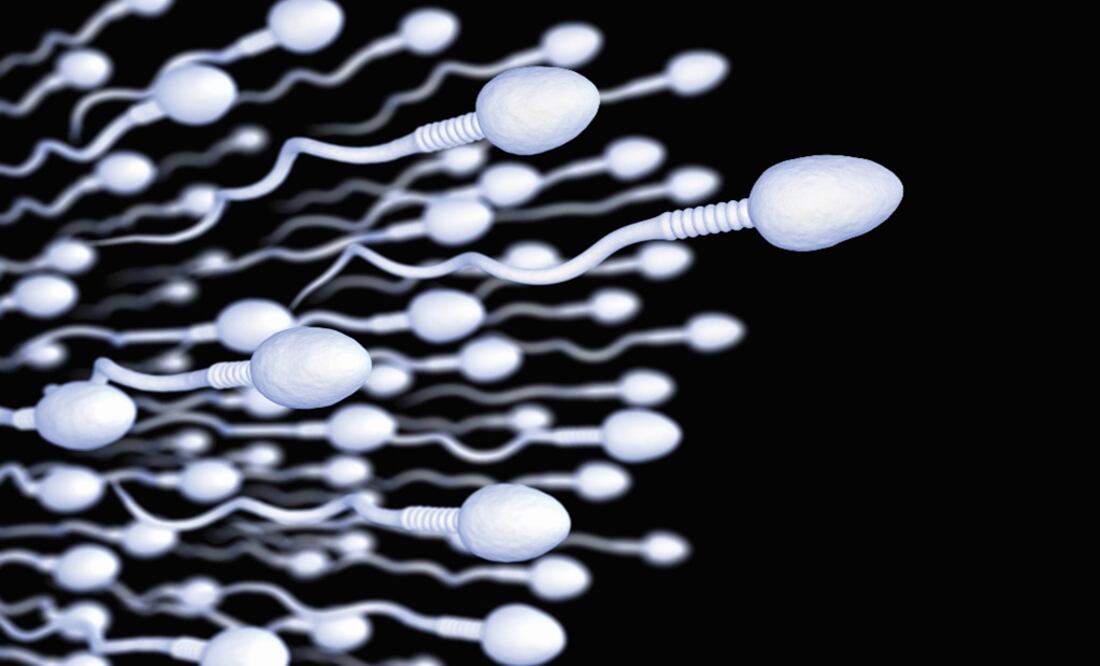 Mexican scientists discover how sperm really swims shattering centuries-old assumption