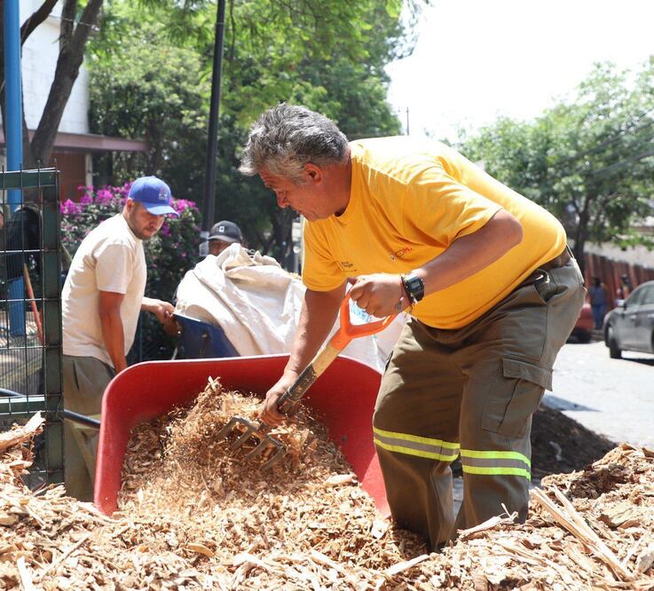 Recuperan parque línea AO