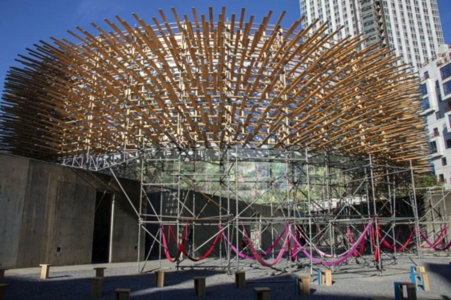 "Selva tropical" mexicana llega al MoMa de NY