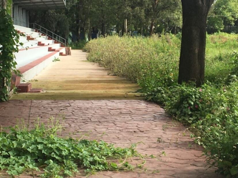 Deportivo El Zarco no reabre por completo tras pandemia y remodelación en GAM