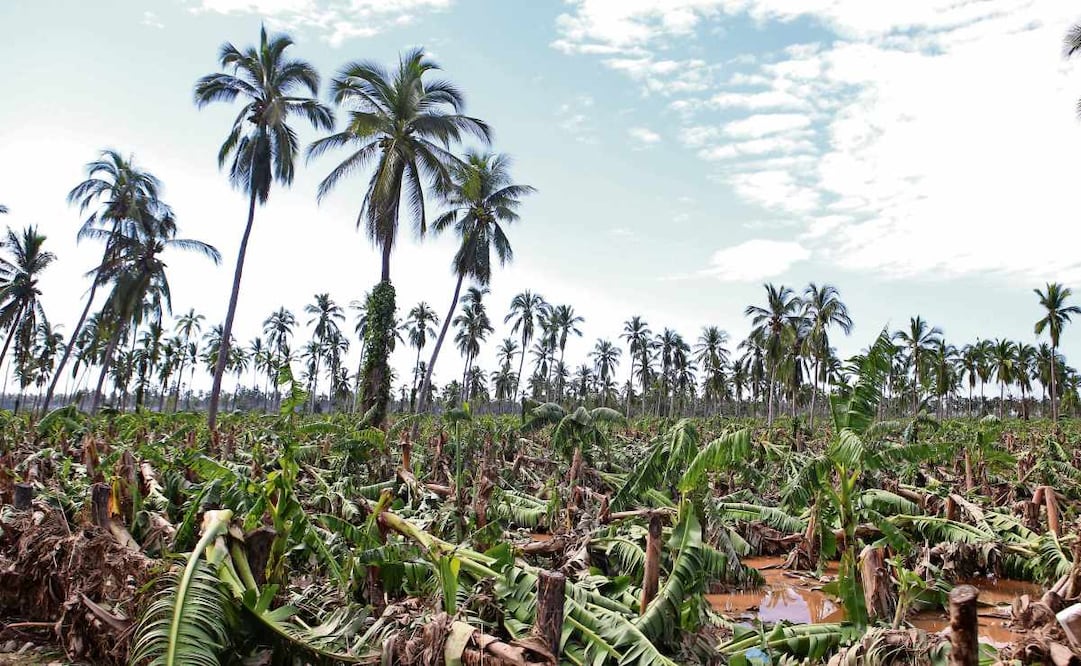 Legisladora pide reasignar recursos a la Semarnat para que sean utilizados en la Conagua y en los fondos de Desastres Naturales. Foto: Jorge Núñez / Archivo EFE