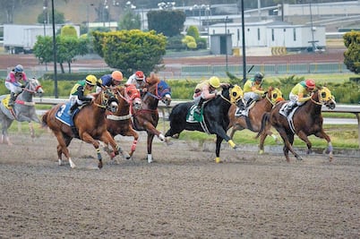 Listo, Handicap El Universal en el Hipódromo de las Américas 