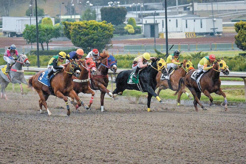 El óvalo de Sotelo abre sus puertas a las 14:00 hrs. Foto: HIPÓDROMO DE LAS AMÉRICAS