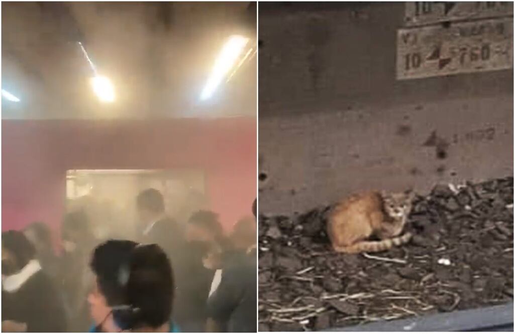 FOTO: tomada de redes/ EL UNIVERSAL/