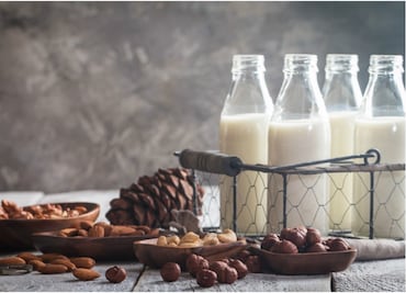 ¿Cuál es la leche vegetal con más aporte nutrimental?