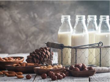 ¿Cuál es la leche vegetal con más aporte nutrimental?
