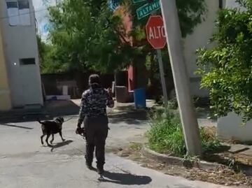 Binomios caninos participan en búsqueda de Ana Luisa, menor de 15 años desaparecida en Reynosa, Tamaulipas