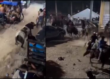 VIDEO: Toro escapa y provoca pánico en Timucuy, Yucatán