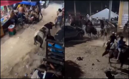 VIDEO: Toro escapa y provoca pánico en Timucuy, Yucatán