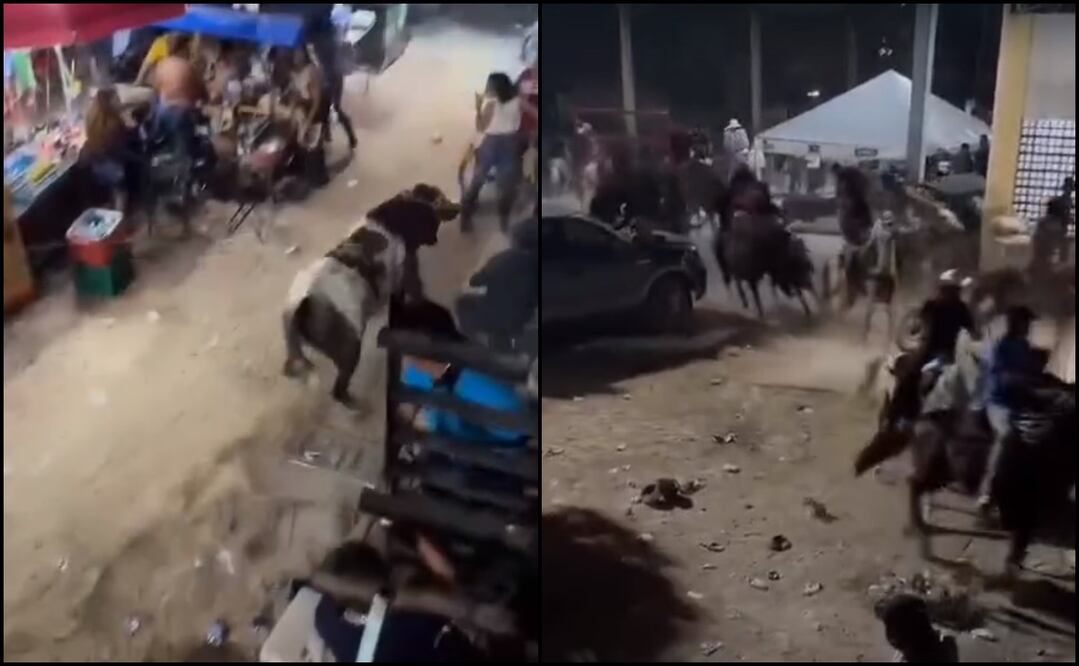 Foto: captura de pantalla