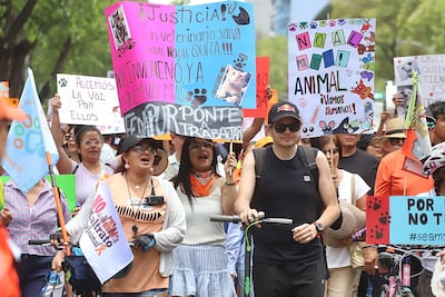 Exigen protección animal en CDMX; activistas marchan en Reforma