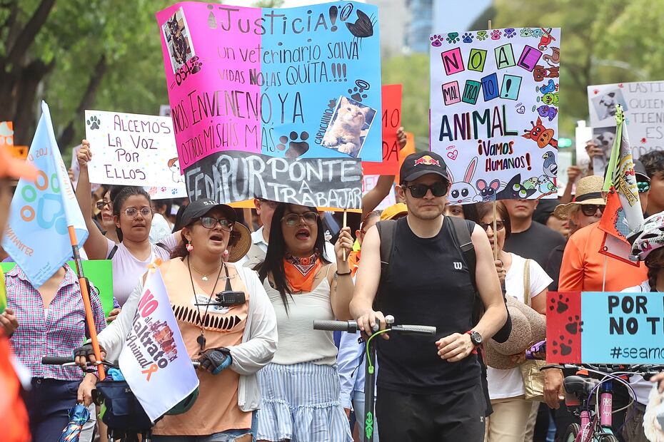 Marcha ciudadana por los Derechos de los animales, salida desde el Ángel de la Independencia con dirección al Zócalo. Fotos: Berenice Fregoso/ El Universal