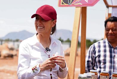 Buscan frenar planes de desarrollo urbano