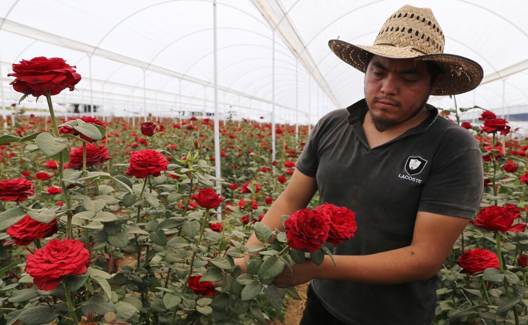 Fotos: Diego Prado/EL UNIVERSAL