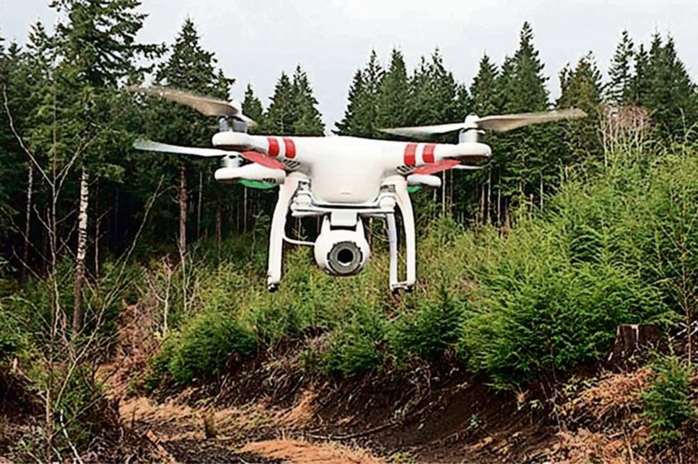 De acuerdo con la Secretaría del Medio Ambiente mexiquense, en la actual administración se han plantado 96 millones de árboles (ARCHIVO EL UNIVERSAL)