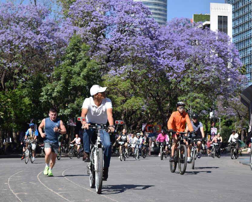 Paseo Dominical "Muévete en bici" cumple 18 años de implementarse en la Ciudad de México. (Foto: especial)