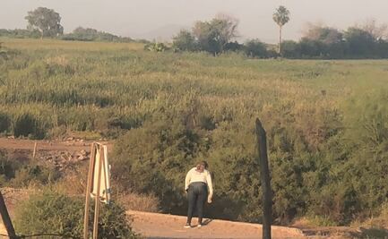 “El gobierno me ha abandonado”: Ceci Patricia busca, sin elementos de seguridad, a su hijo en el monte de Sinaloa