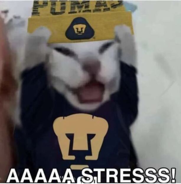 Los memes no perdonaron a los Pumas ni en la victoria. FOTO: ESPECIAL