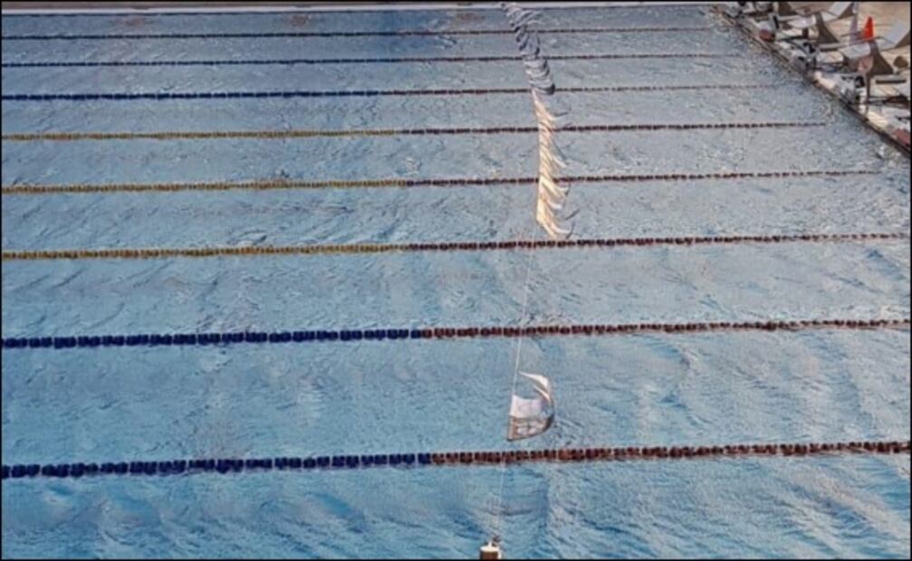 Otro desastre organizado por la Federación Mexicana de Natación