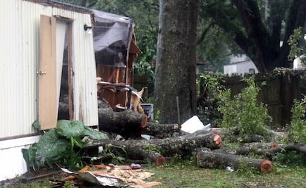 Niño muere al caer árbol sobre su casa tras paso de tormenta "Gordon"