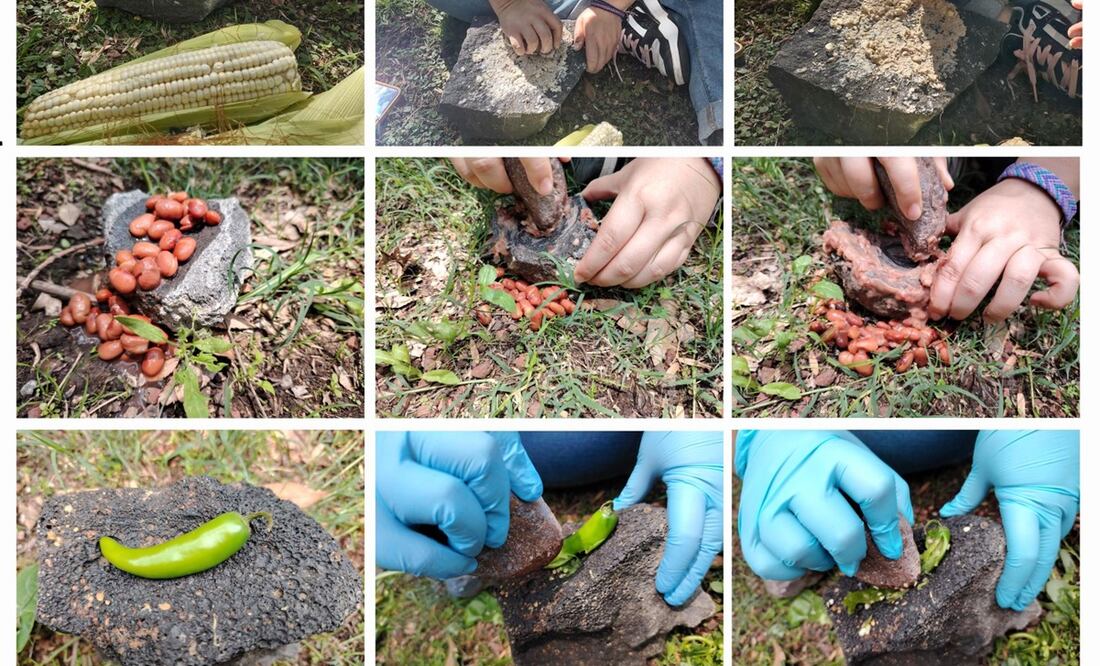 Identifican restos de maíz con 6 mil años de antigüedad en San Gregorio Atlapulco, Xochimilco | El Universal