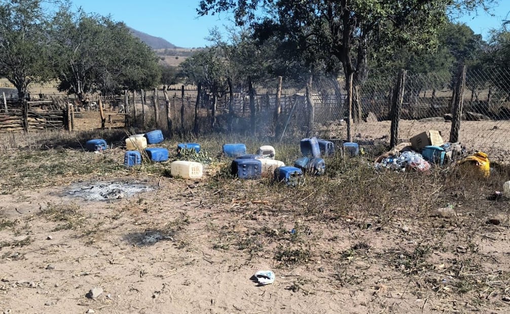 Marina localiza siete plantíos de marihuana y una bodega. Foto: especial