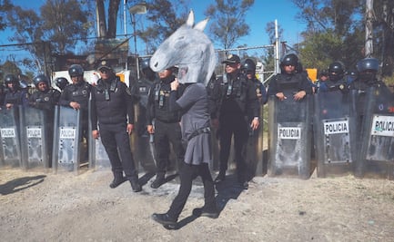CDMX rescata casi mil perros de refugio; estaban hacinados