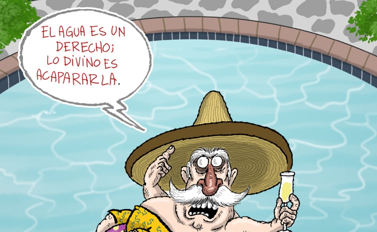 Cartón de FER